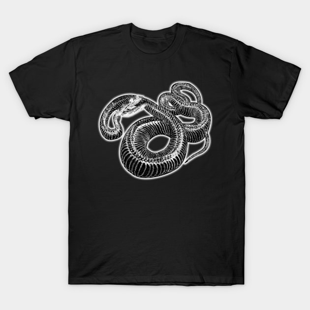 "The Serpent" T-Shirt by Agon Authentic